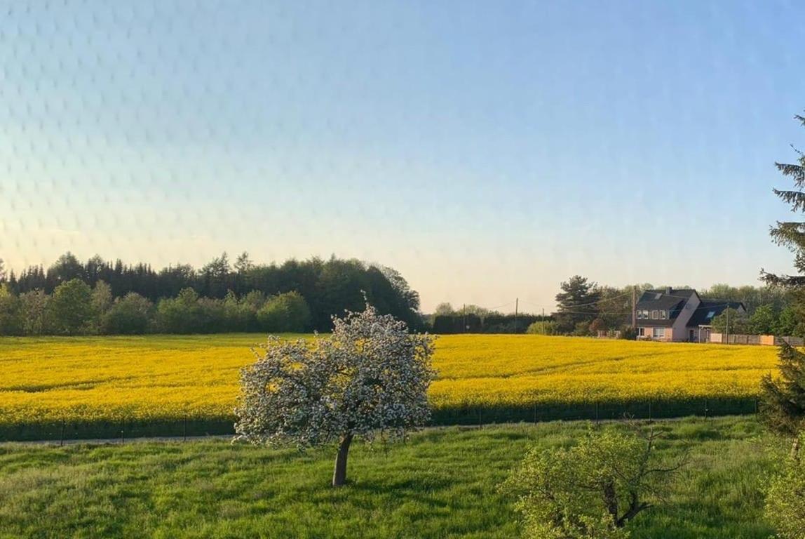 Kleine Auszeit Mit Aussicht Velbert Toenisheide Apartment Bagian luar foto